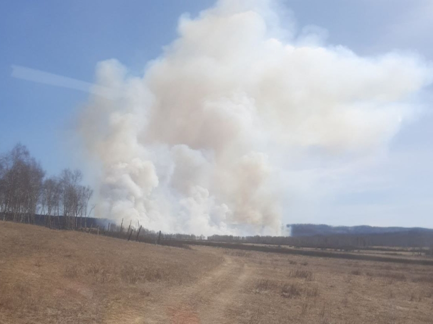 Лесные пожарные Забайкалья за последние сутки ликвидировали два возгорания 